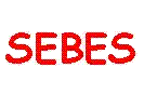 SEBES:
                    Stratégies Energétiques Biosphère et Société